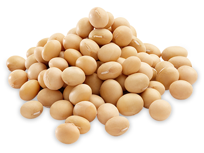 transparent image of a pile of soys